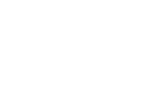Halton school logo